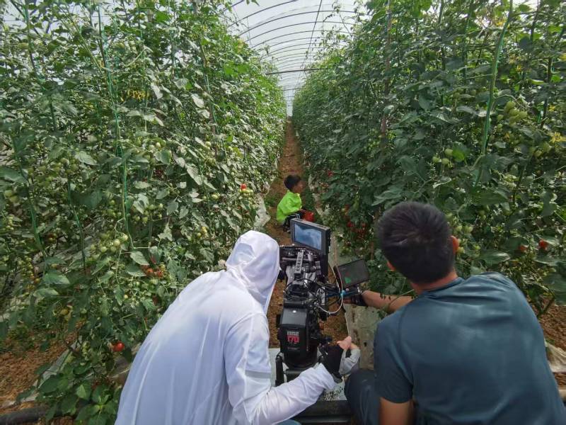 宜城市产品宣传视频拍摄公司进阶指南，助力品牌抢占传播高地